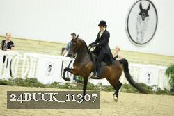 24BUCK_11307 proof