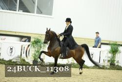 24BUCK_11308 proof