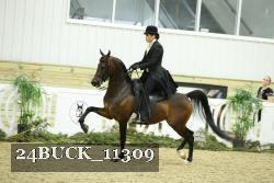 24BUCK_11309 proof