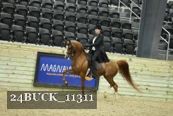 24BUCK_11311 proof