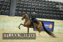 24BUCK_11313 proof