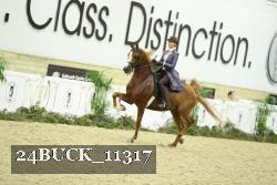 24BUCK_11317 proof