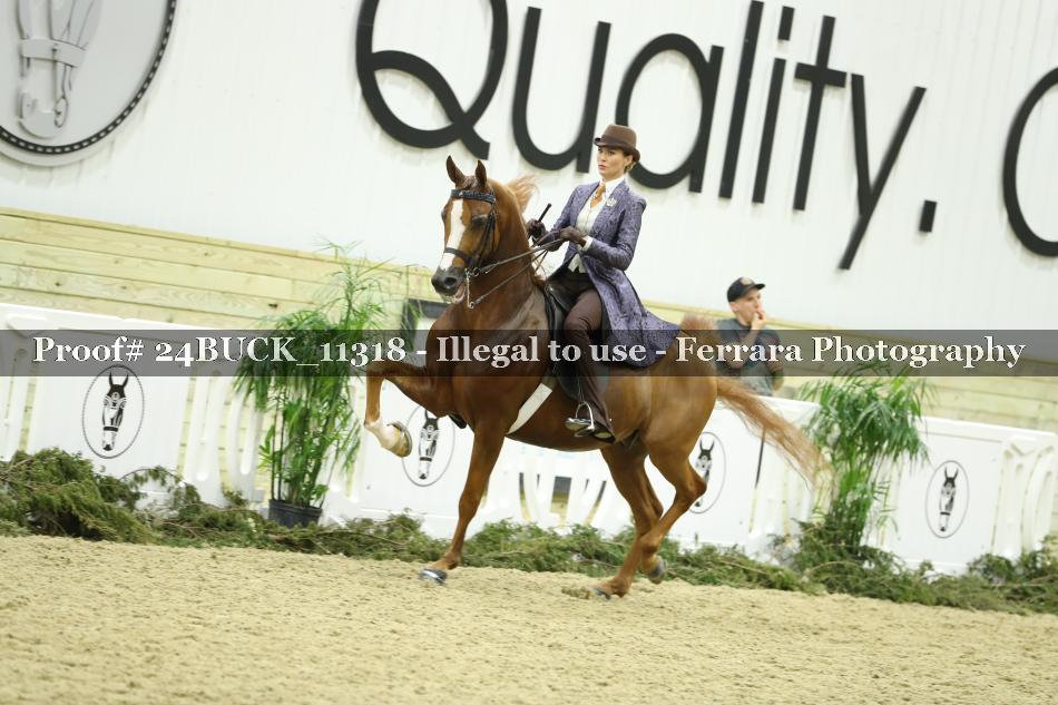 Proof 24BUCK_11318