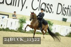 24BUCK_11322 proof