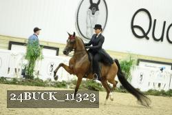 24BUCK_11323 proof
