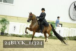 24BUCK_11324 proof