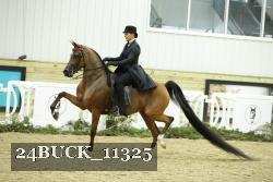 24BUCK_11325 proof