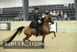 24BUCK_11326 proof