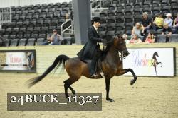 24BUCK_11327 proof