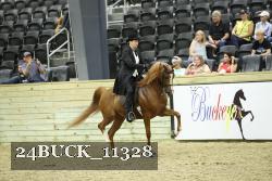 24BUCK_11328 proof
