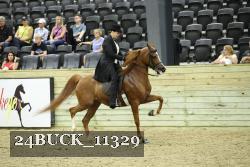 24BUCK_11329 proof