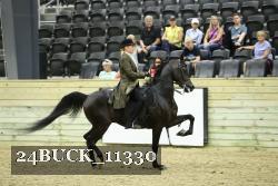24BUCK_11330 proof