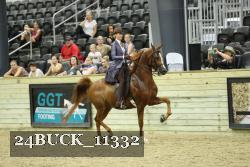 24BUCK_11332 proof