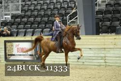 24BUCK_11333 proof