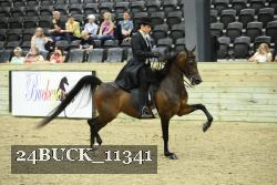 24BUCK_11341 proof