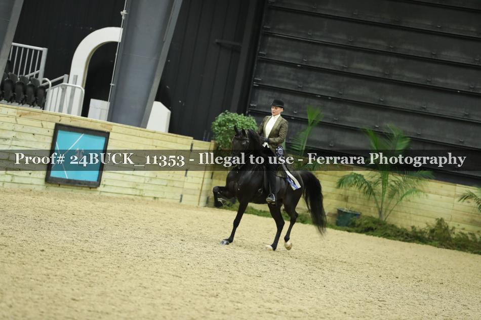 Proof 24BUCK_11353