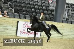 24BUCK_11356 proof