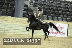 24BUCK_11357 proof