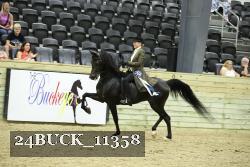 24BUCK_11358 proof