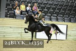 24BUCK_11359 proof