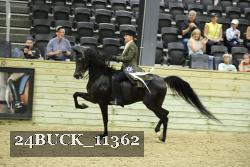 24BUCK_11362 proof