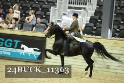24BUCK_11363 proof