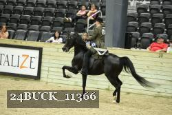 24BUCK_11366 proof