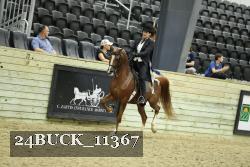 24BUCK_11367 proof