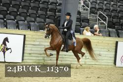 24BUCK_11370 proof