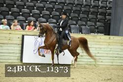 24BUCK_11373 proof