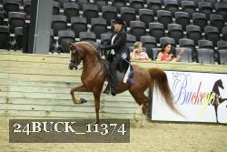 24BUCK_11374 proof