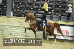 24BUCK_11377 proof