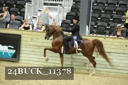 24BUCK_11378 proof