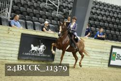 24BUCK_11379 proof