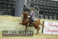 24BUCK_11381 proof