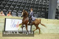 24BUCK_11382 proof