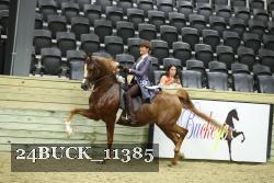24BUCK_11385 proof