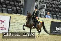 24BUCK_11389 proof