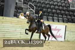 24BUCK_11390 proof