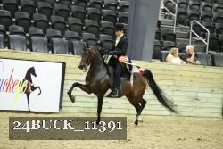 24BUCK_11391 proof