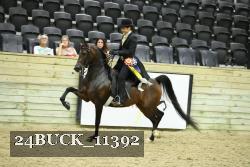 24BUCK_11392 proof