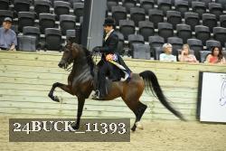 24BUCK_11393 proof