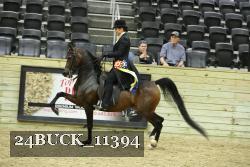 24BUCK_11394 proof