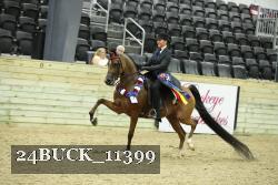 24BUCK_11399 proof