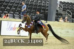 24BUCK_11400 proof