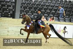 24BUCK_11401 proof