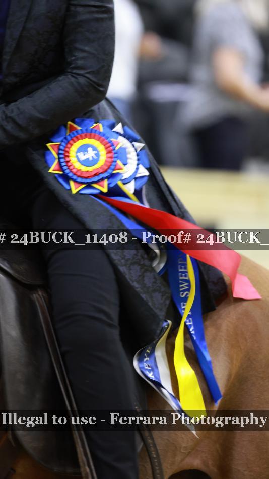Proof 24BUCK_11408