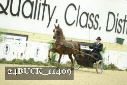 24BUCK_11409 proof