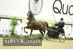 24BUCK_11410 proof