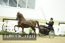 24BUCK_11411 proof